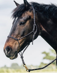 Black purple and tan fleck rope halter with matching leadrope with brass swivel clip