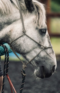 Black and tan zig zag rope halter with black green & tan fleck lead rope with loop attachment