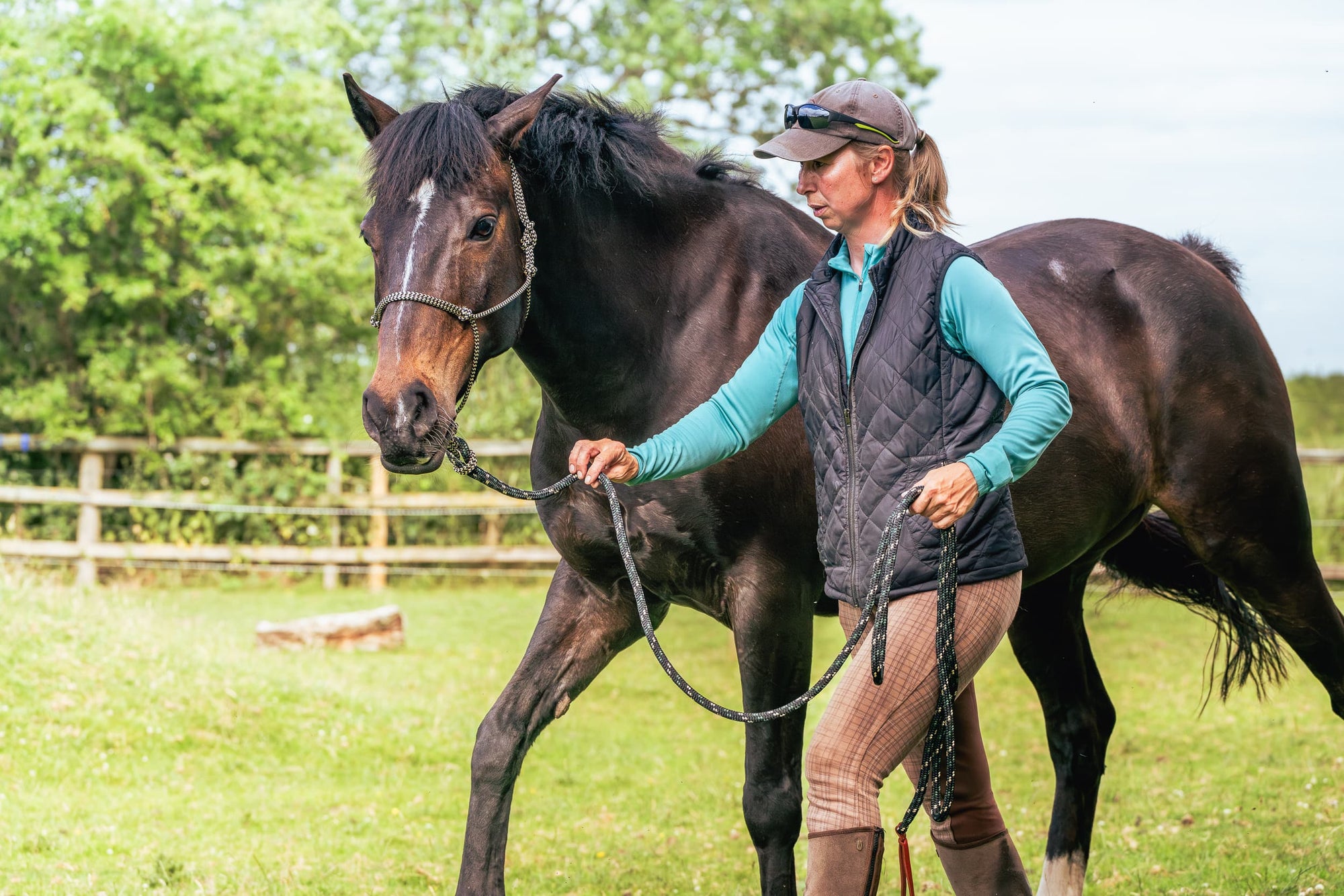 Horse Leading Rope