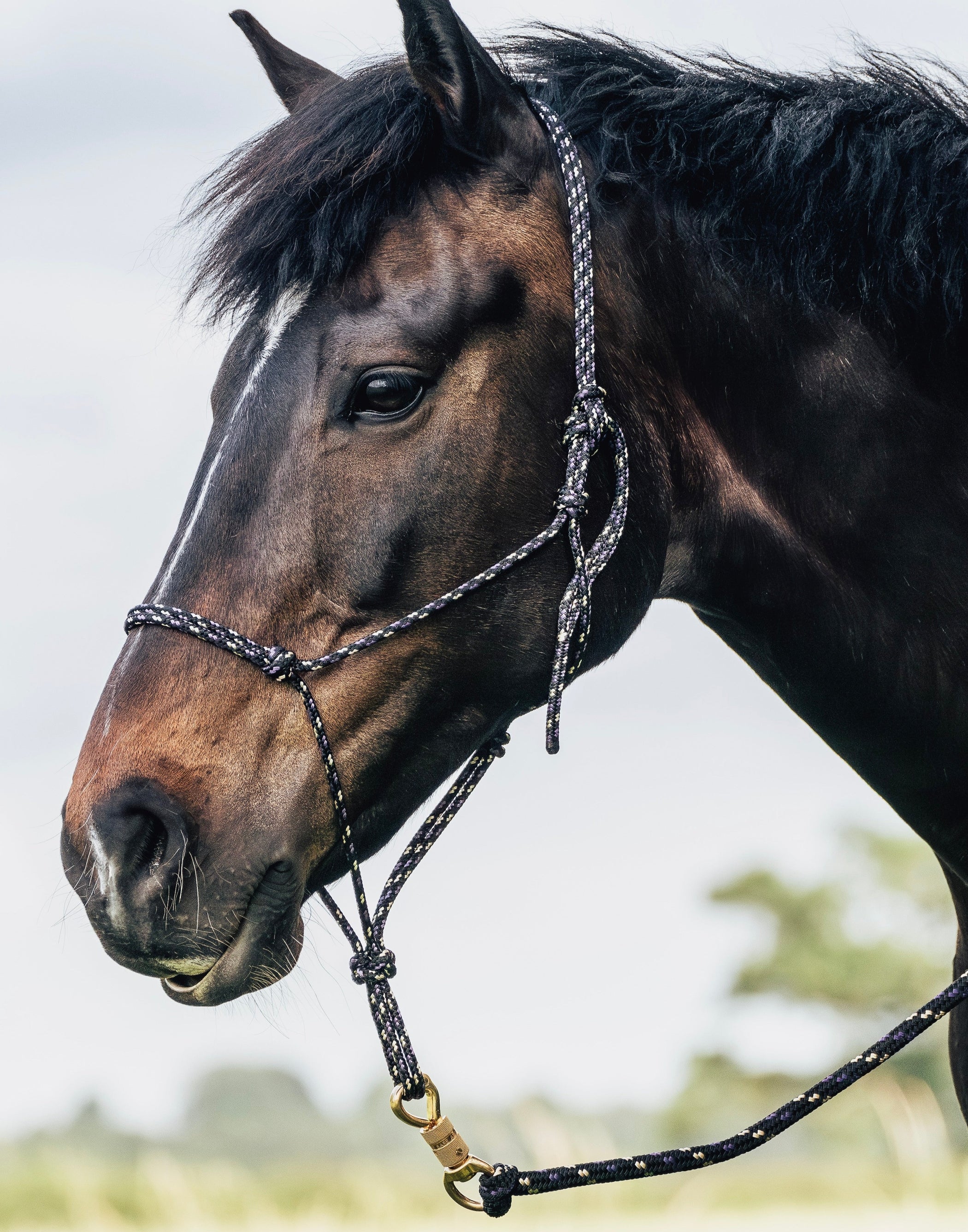 Total Horsemanship | Natural Horsemanship Ropes & Equipment